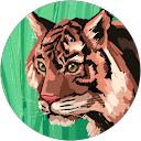 J.N. profile picture